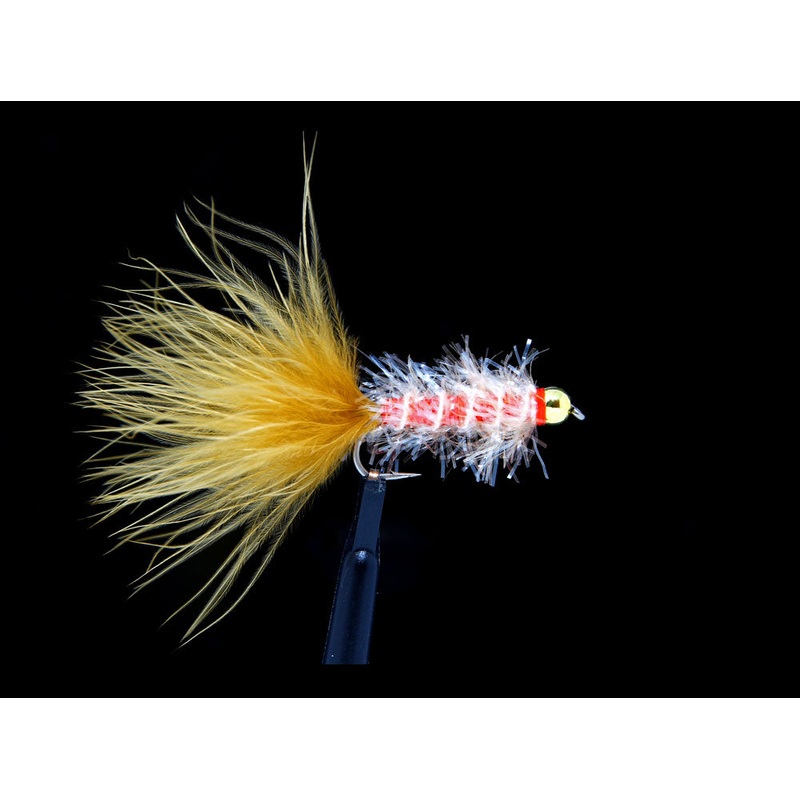 Golden Retriever (Locally Tied)