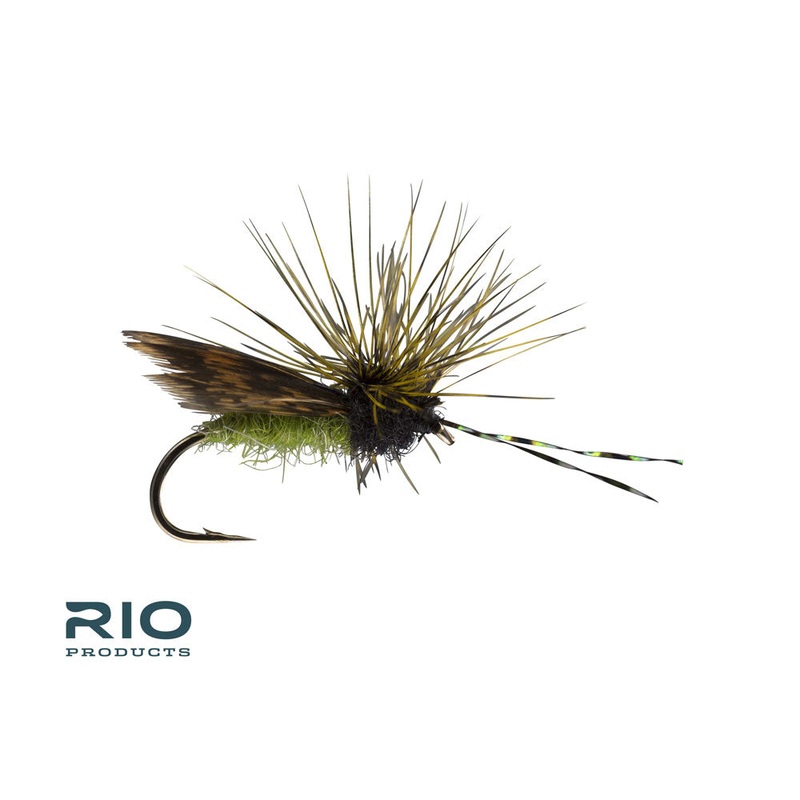 Hen Wing Caddis