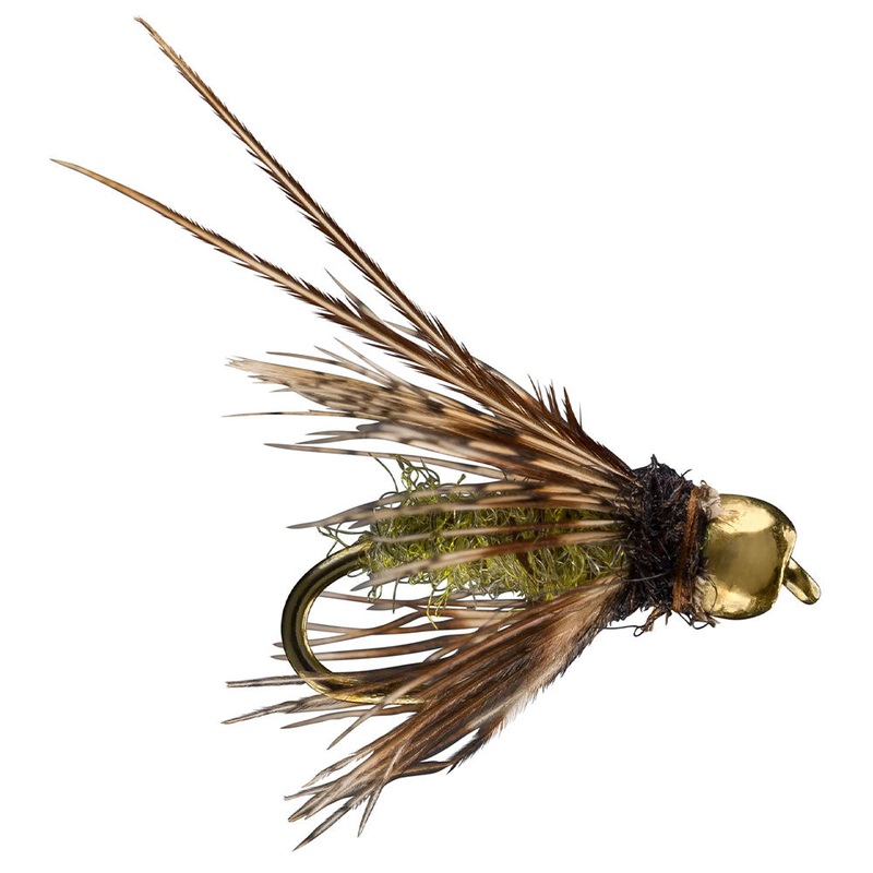 Hungarian Caddis Pupa (Bead Head)