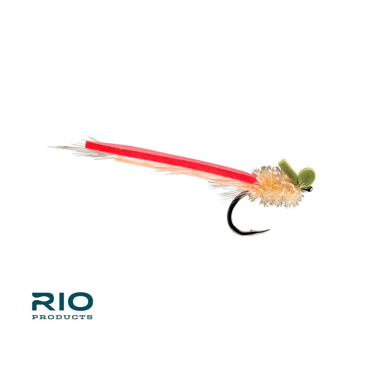 Palolo Slider