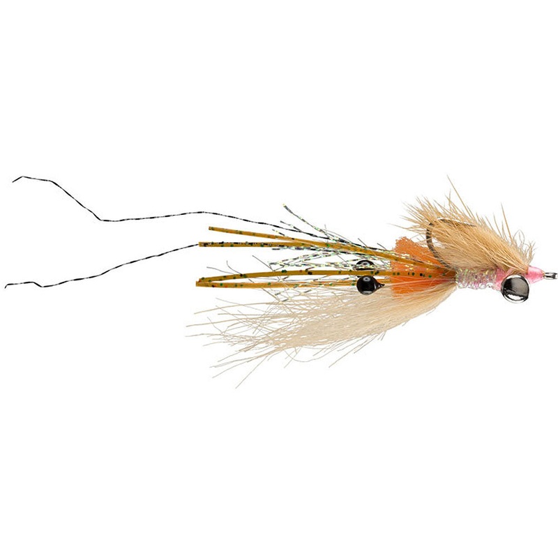 Spawning Shrimp