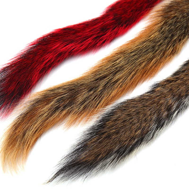 Squirrel Tail