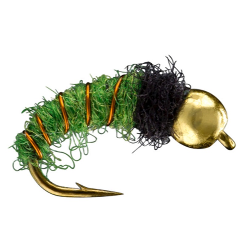 Caddis Larva