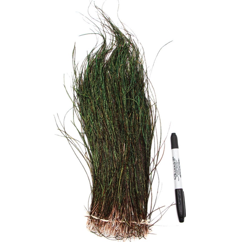 Extra Long Peacock Herl