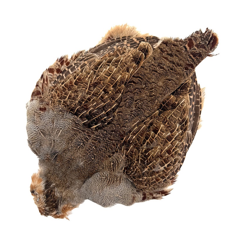 Hungarian Partridge Skin