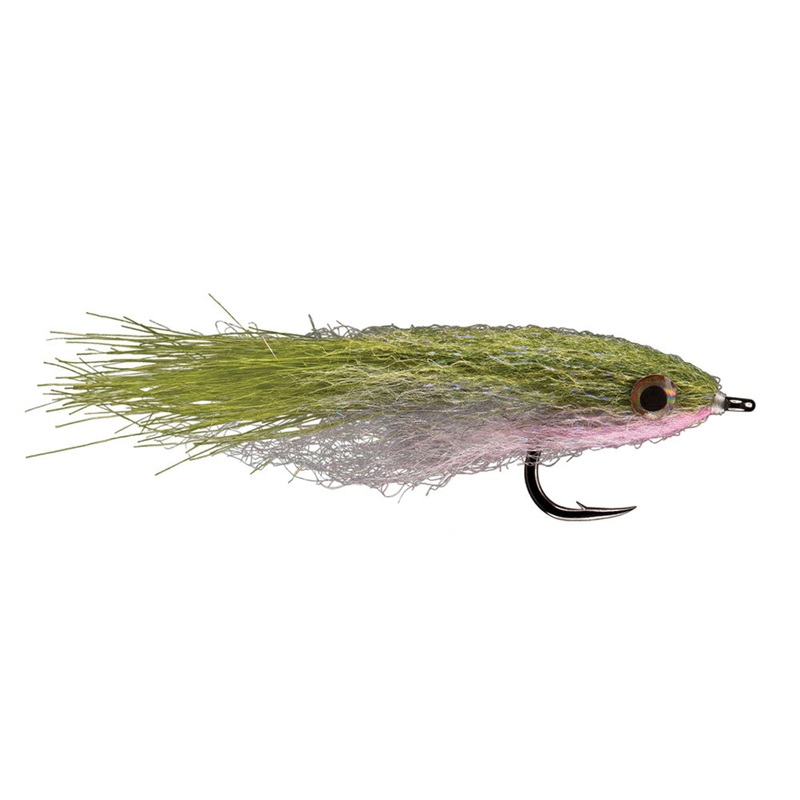 King's Bay Anchovy