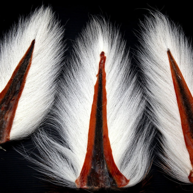 Maine Bucktail
