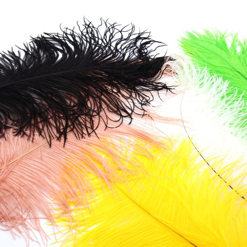 Premium XL Ostrich Plumes