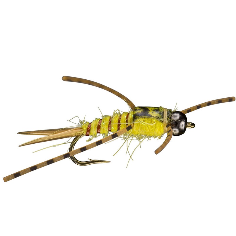 Yellow Sally Nymph