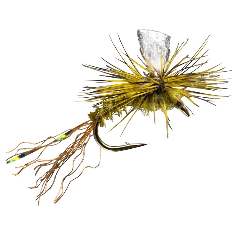 Almost Dun (BWO)