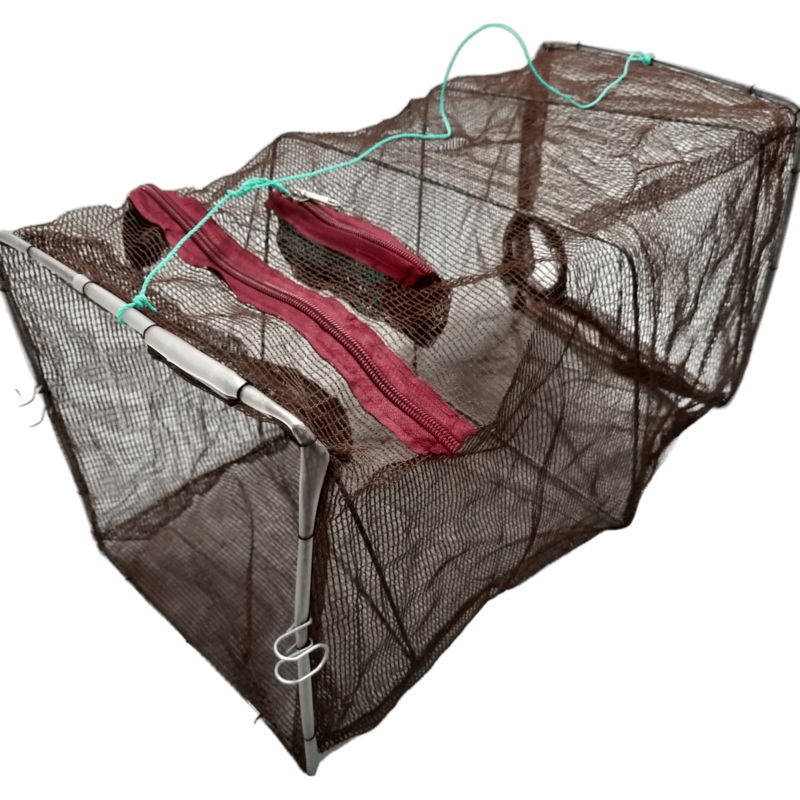 Icatch Live Bait Fish Trap