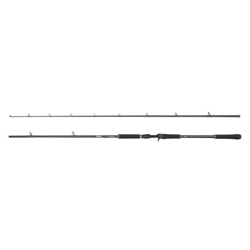Beast X Casting Rod