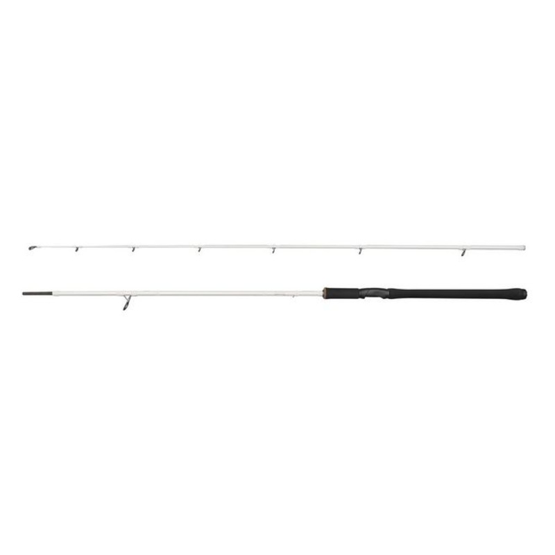 Beast X Trolling Spinning Rod