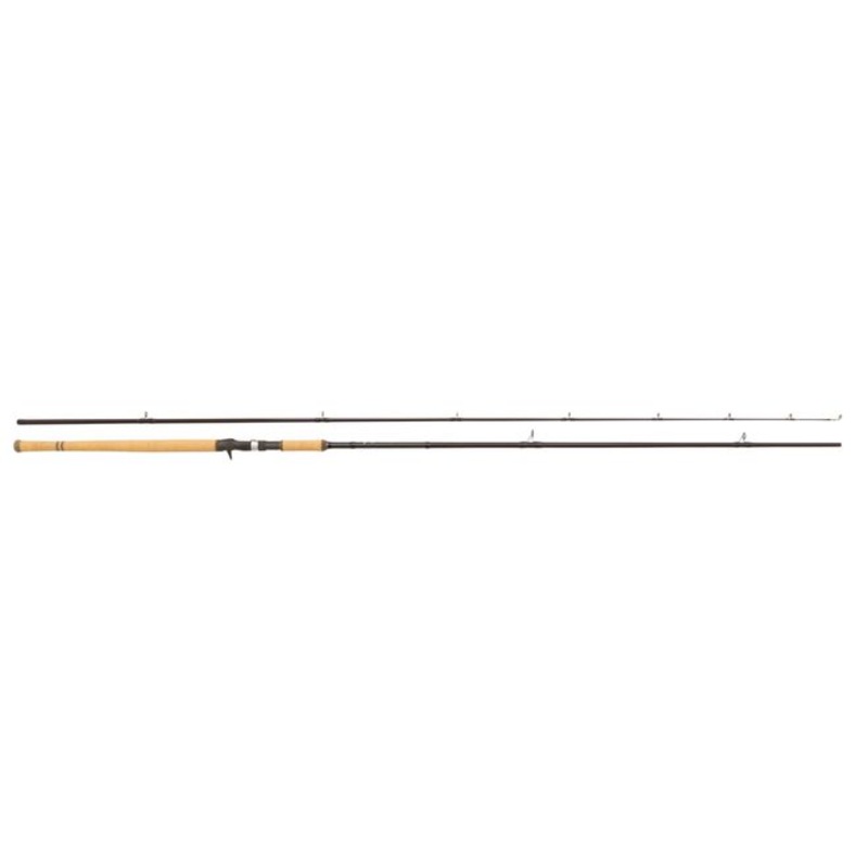 Salmon Seeker Casting Rod