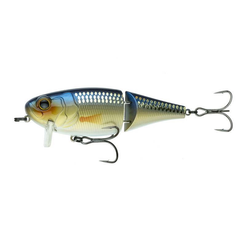 Speed Wake - Live Shiner