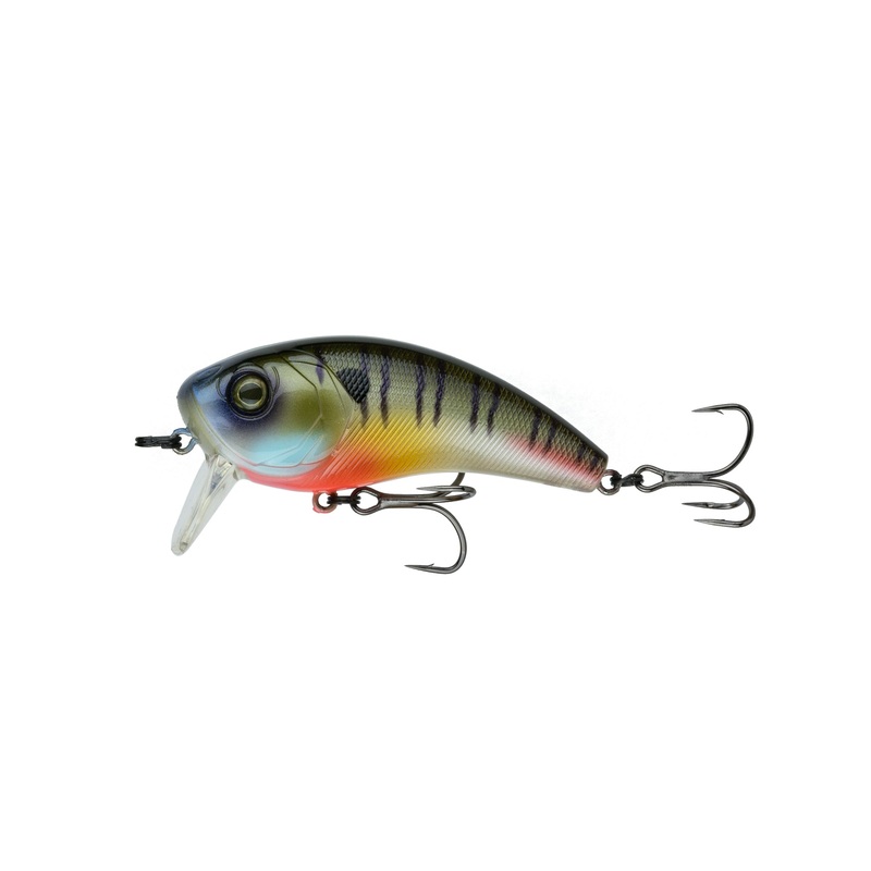 Movement 80WK - Bluegilla