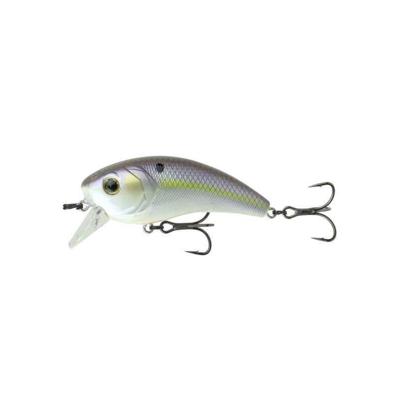 Movement 80X - Wild Shad