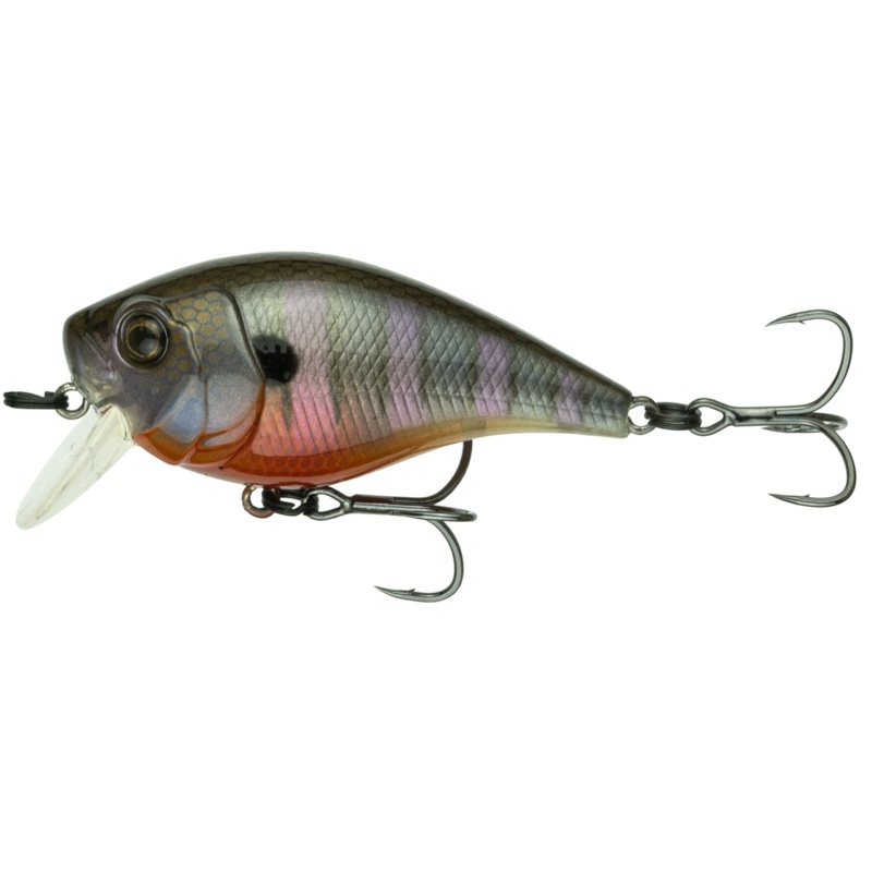 Munch - Bluegill Spawn