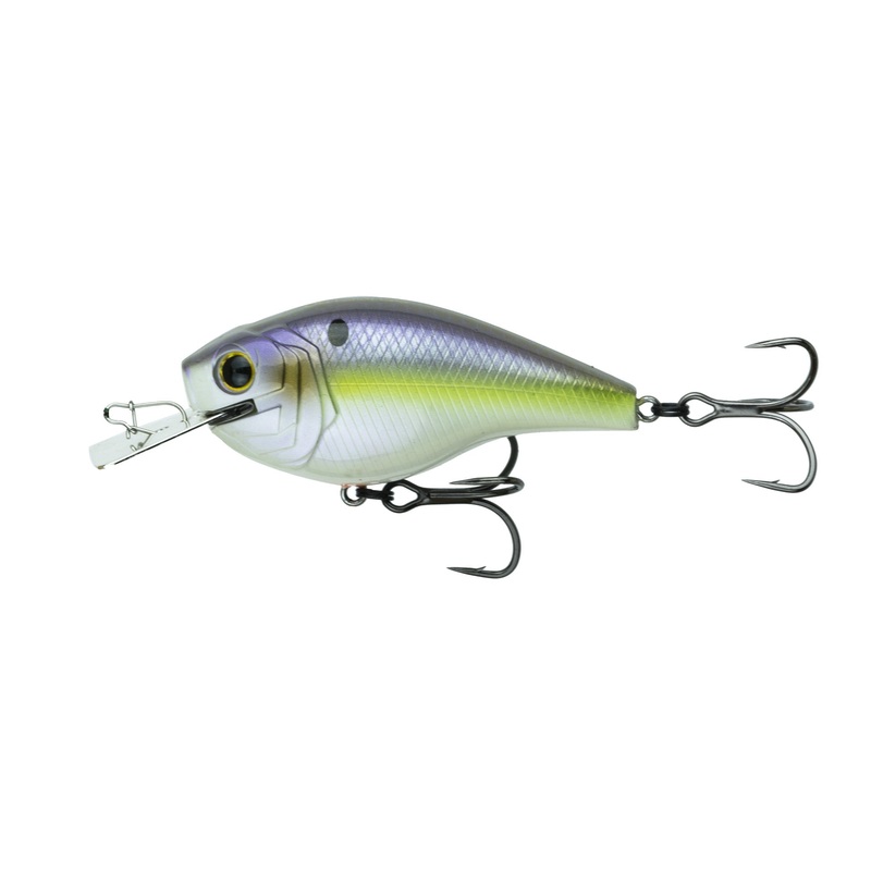 AXIS - Wild Shad