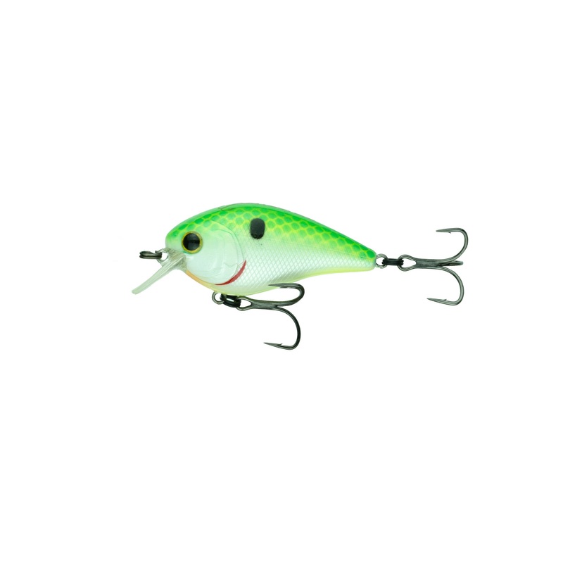 Crush Series - Candy Citrus Shad