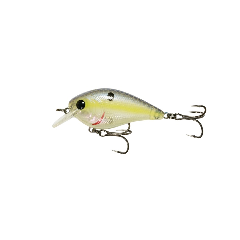 Crush Series - Ghost Sexified Shad