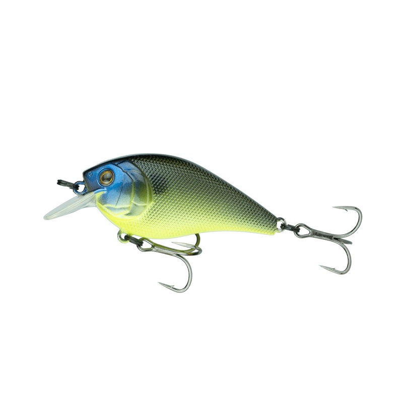 Crush Series - Green Pumpkin Gill