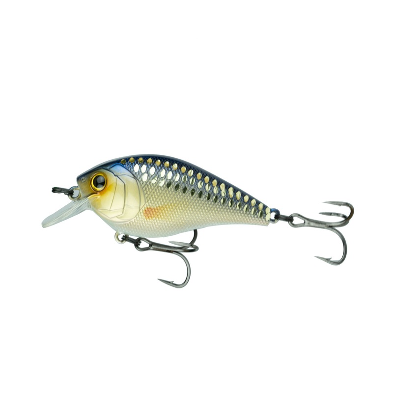 Crush Series - Live Shiner