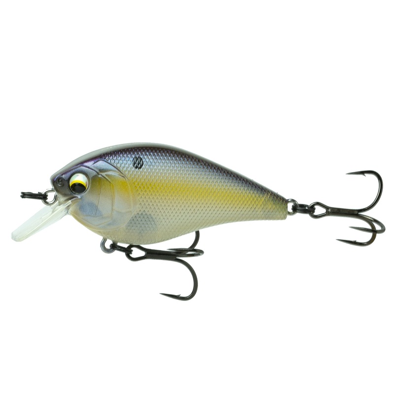 Crush Series - Shad Sense
