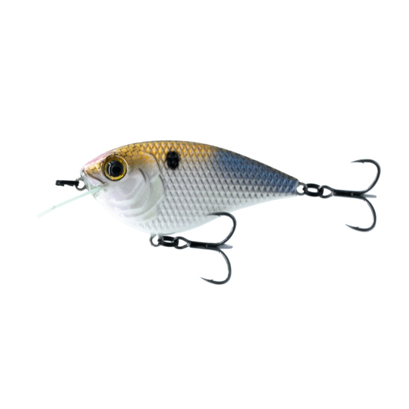Flat Finesse F4 - 4K Shad