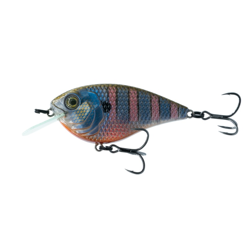Flat Finesse F4 - Bluegill Spawn