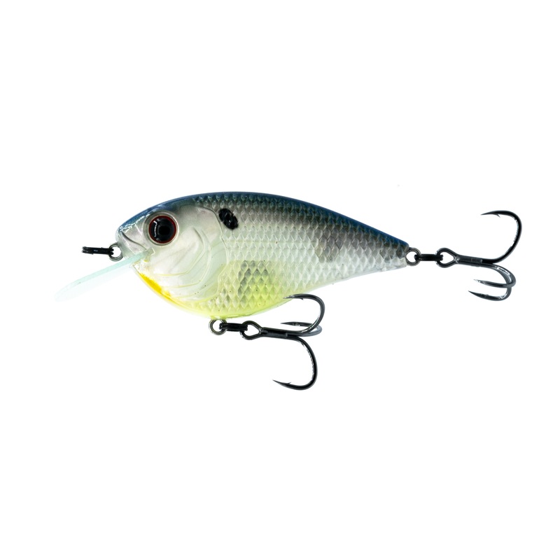 Flat Finesse F4 - Hologram Shad