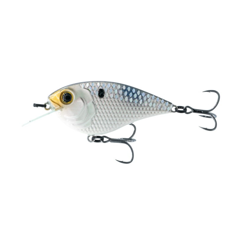 Flat Finesse F4 - Shad Scales