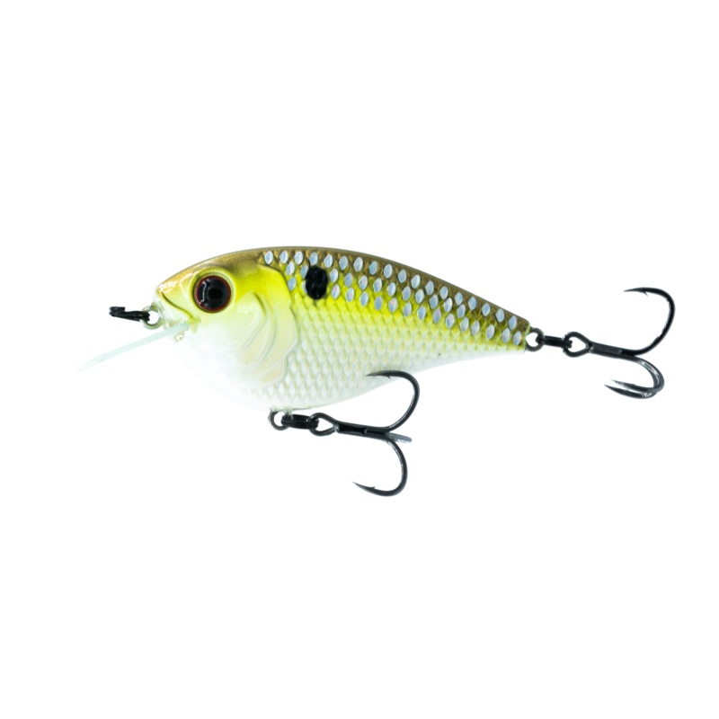 Flat Finesse F4 - Shad Streaker