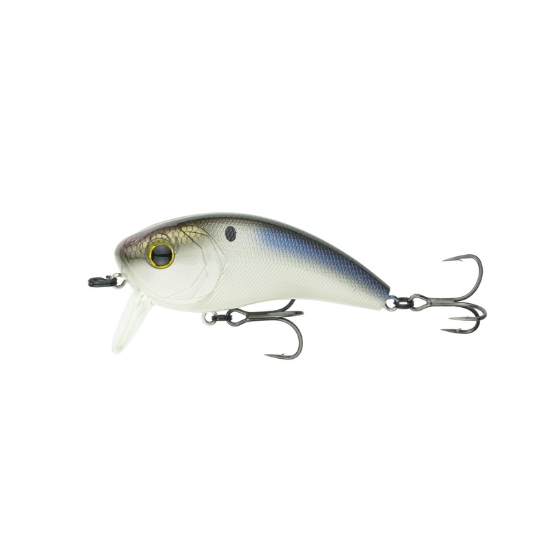 Movement 80WK - 4K Shad