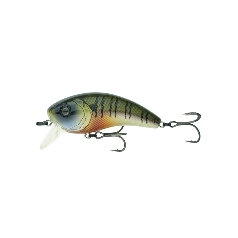 Movement 80X - 4K Bluegill