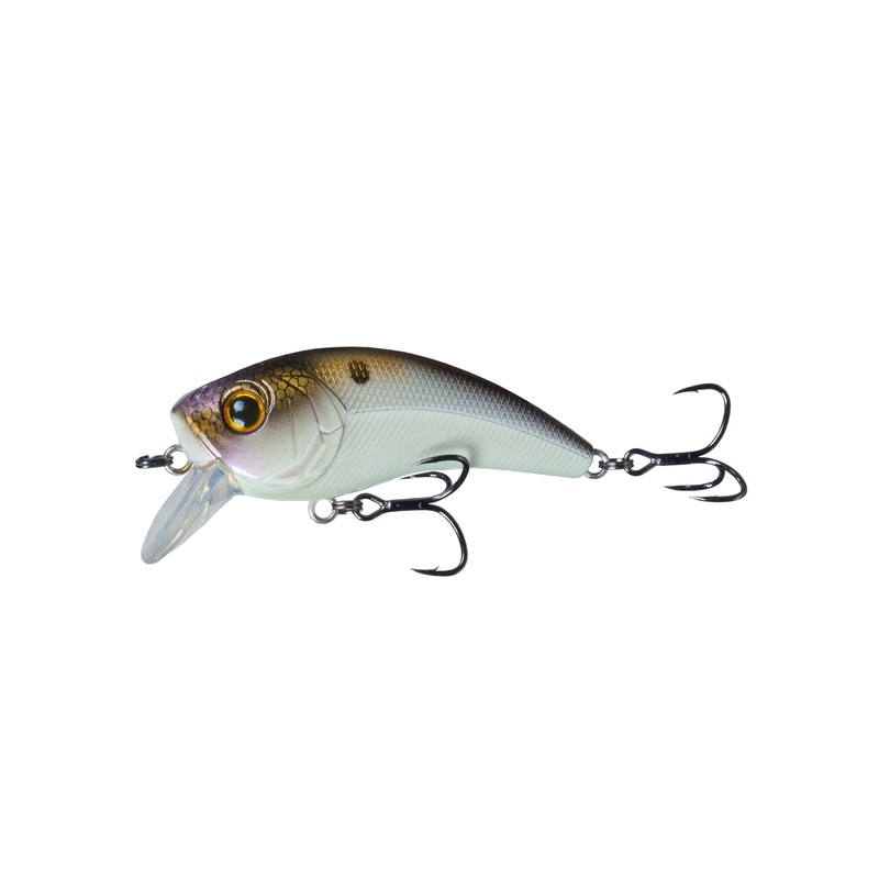 Movement 80X - 4K Shad