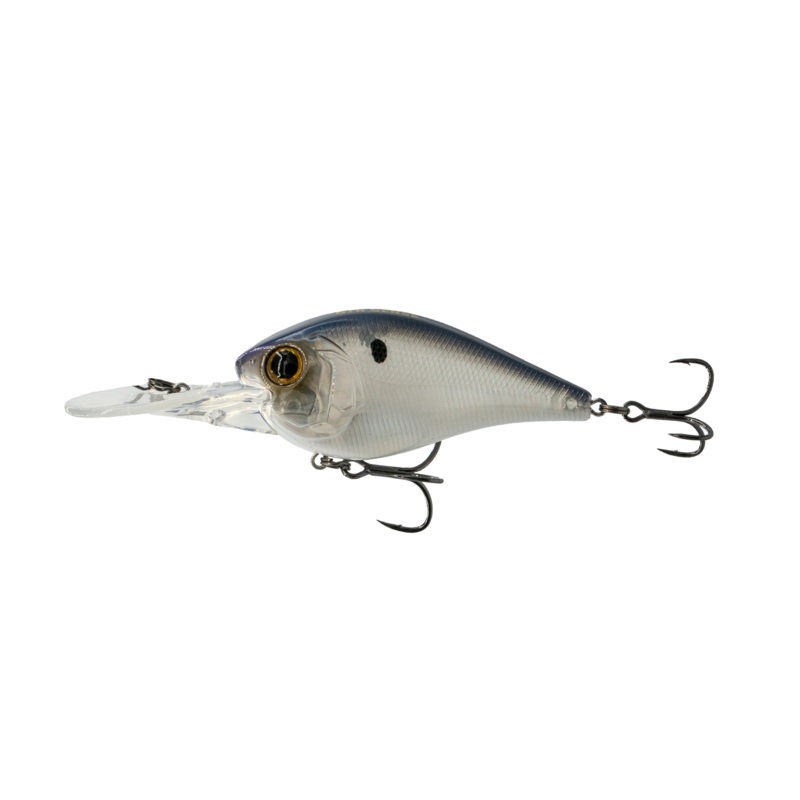 250MD - Pro Blue Hologram