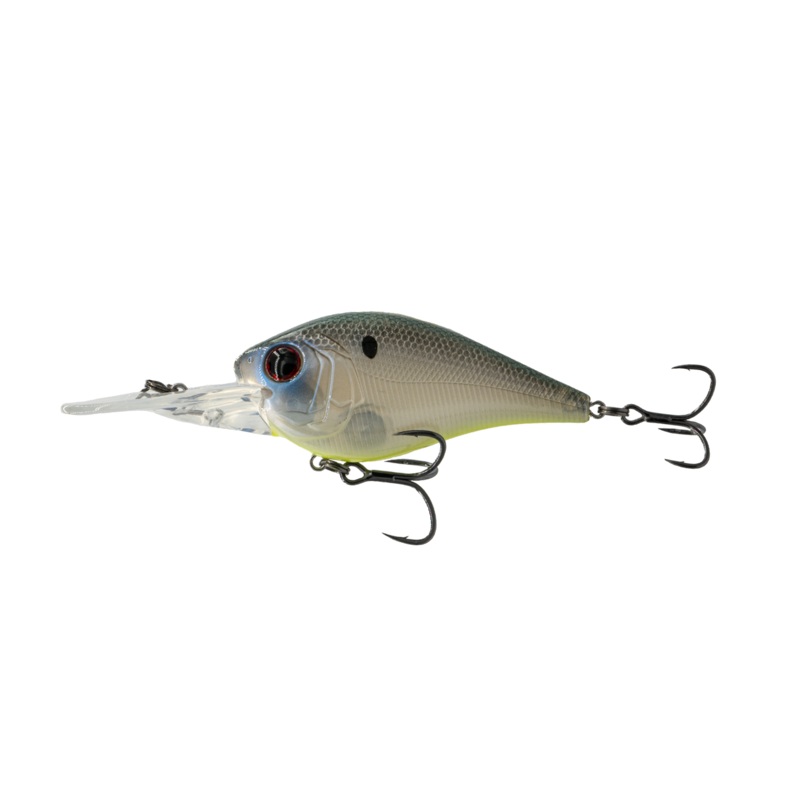 250MD - Shad Candy