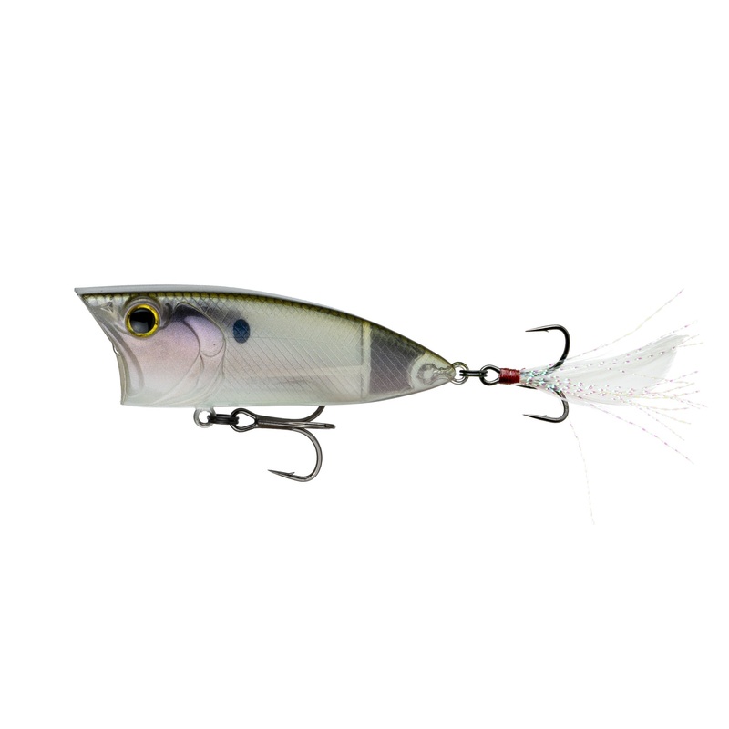 SplashBack Popper - Ghost Hot Herring