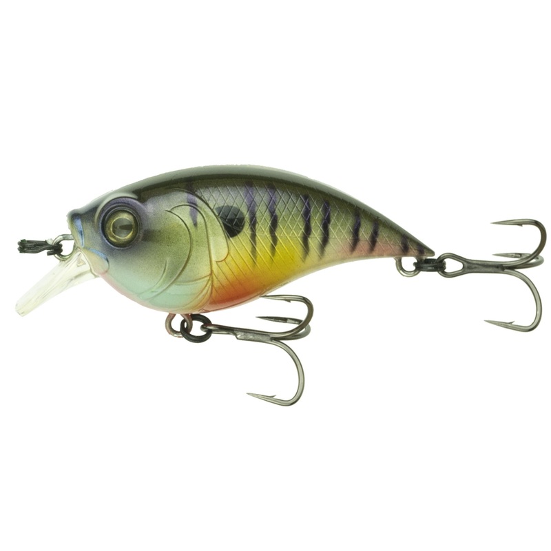 Curve Finesse Squarebill - Bluegilla