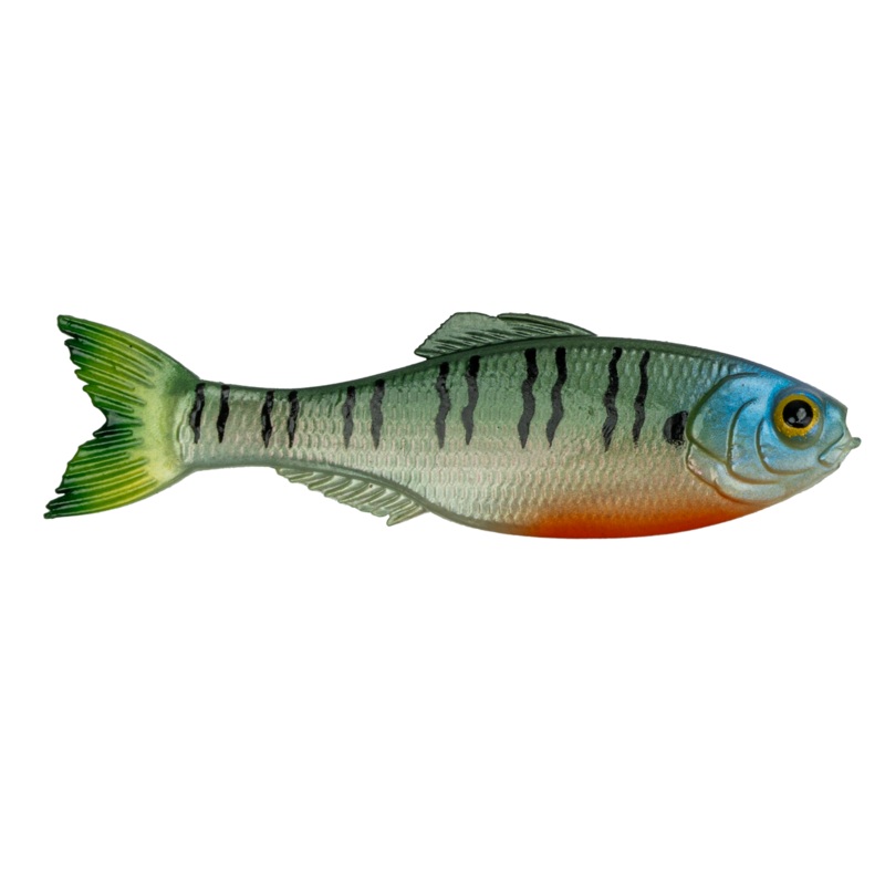 Panorama - 4K Bluegill