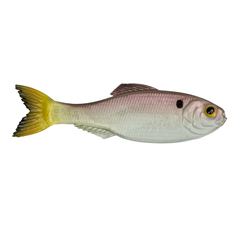Panorama - Ghost Pro Shad