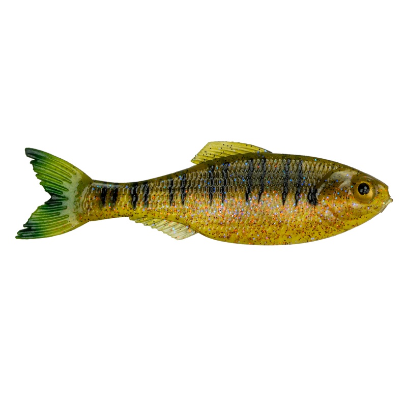 Panorama - Live Sunfish