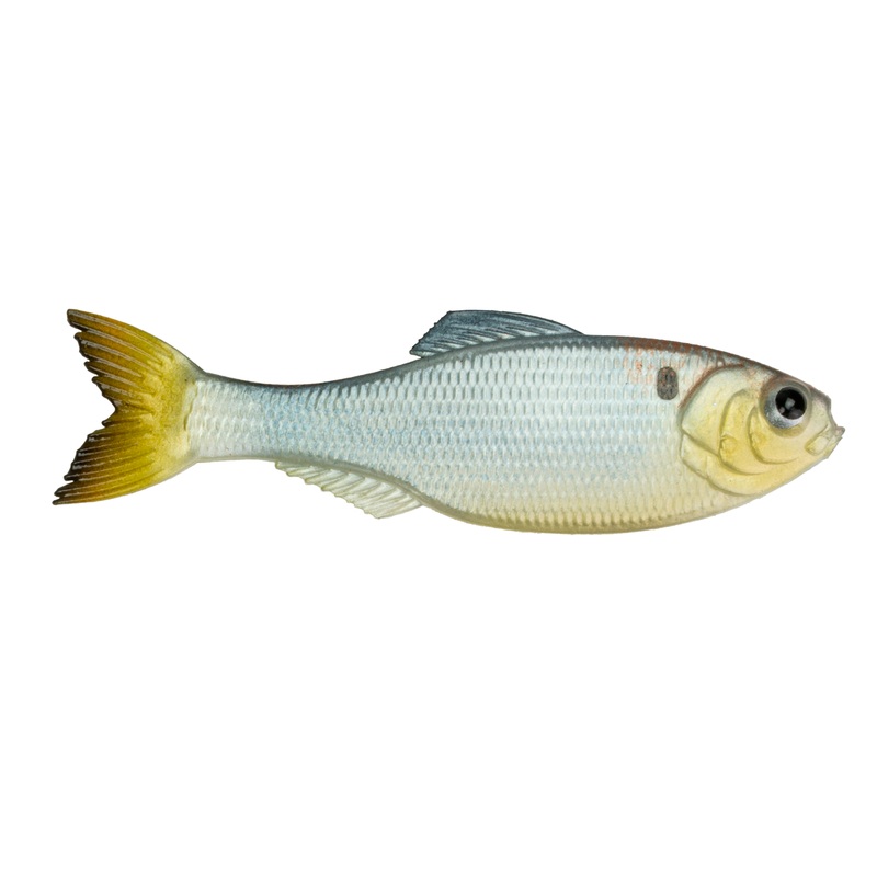 Panorama - Shad Clone