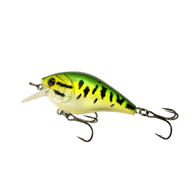Crush Series - Baby Bass
