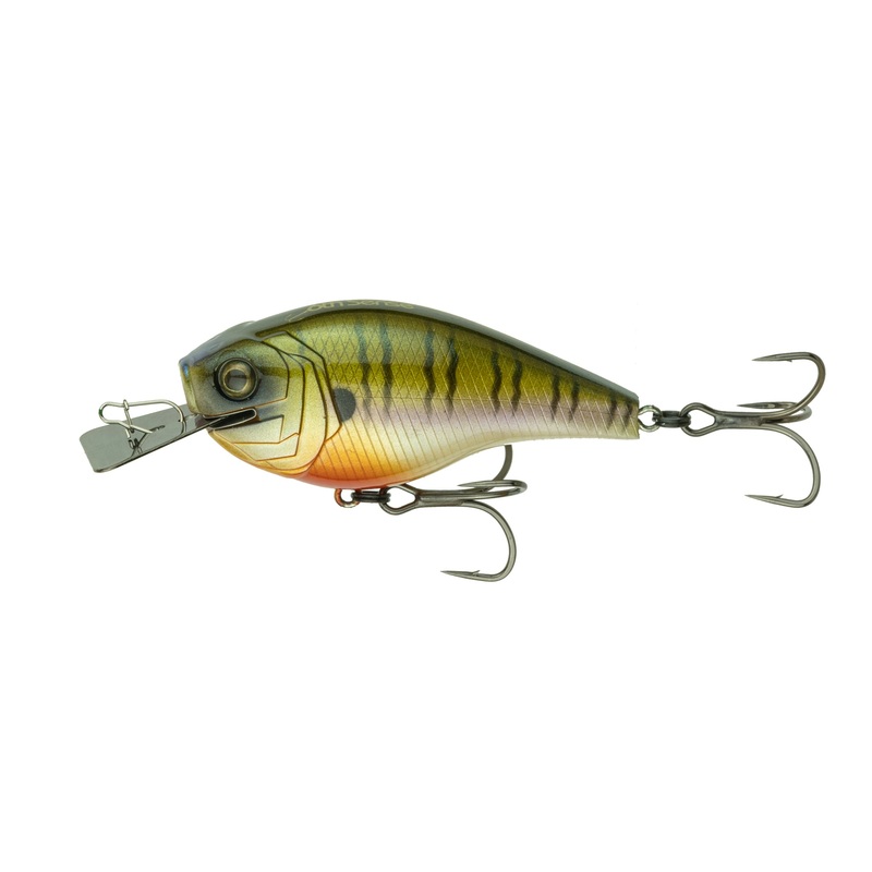 AXIS - 4K Bluegill