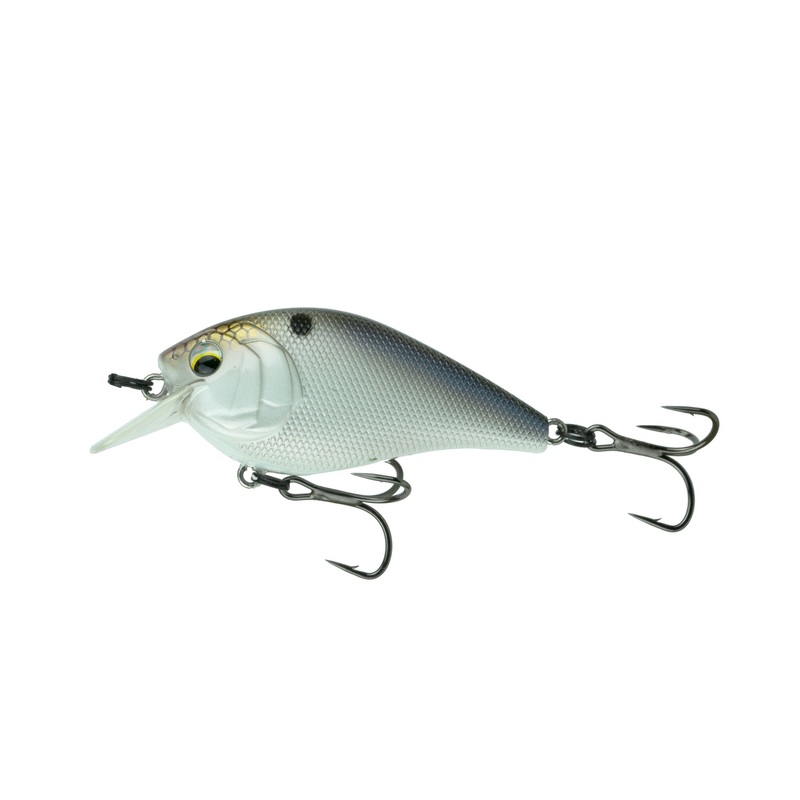 Crush Series - 4K Shad