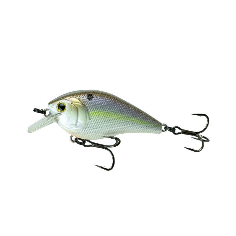 Crush Series - Wild Shad