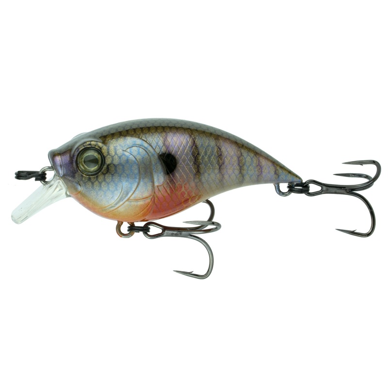 Curve Finesse Squarebill - Bluegill Spawn
