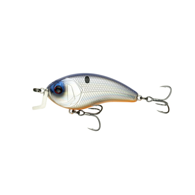 Swank Series - Shad Surge